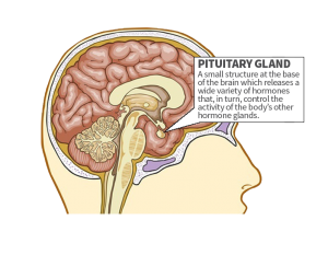 How much is the price of treating pituitary adenoma?